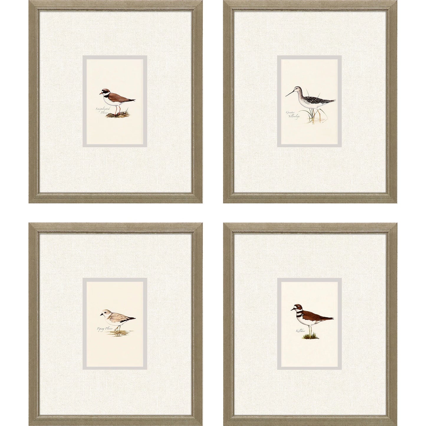 Shorebirds Frame Art - Set of 4
