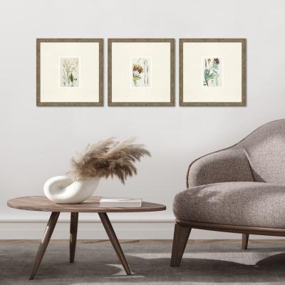 Antique Botanical Framed Prints, Set of 3