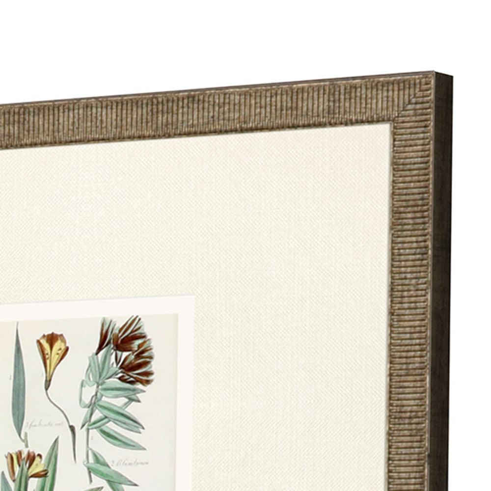 Antique Botanical Framed Prints, Set of 3