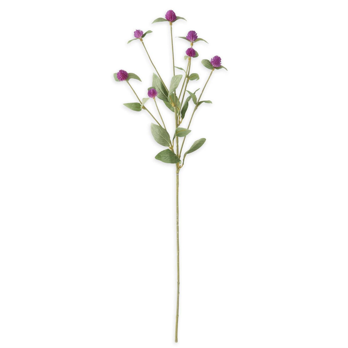 Purple Globe Amaranth Spray