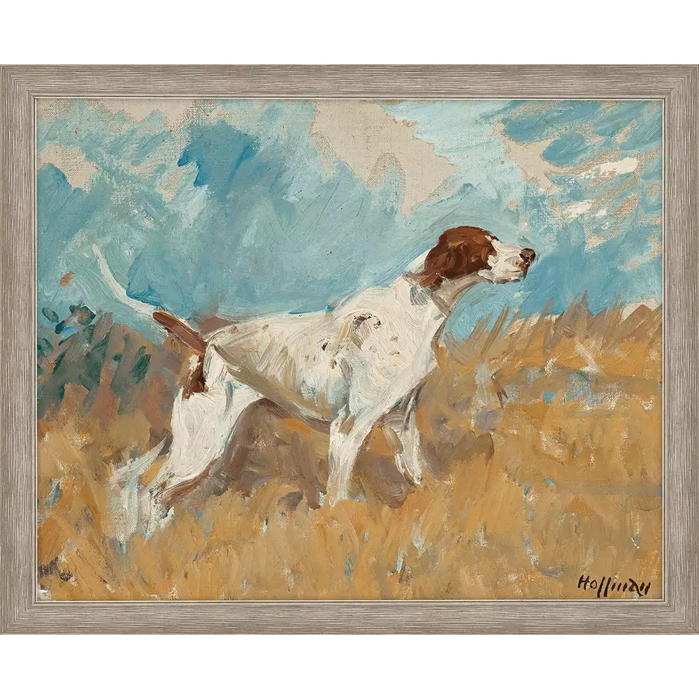 English Setter on Watch
