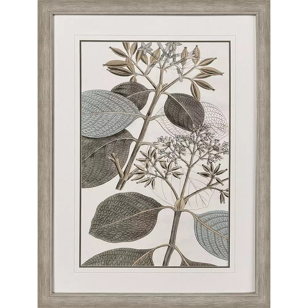 Flowering Botanical Artwork