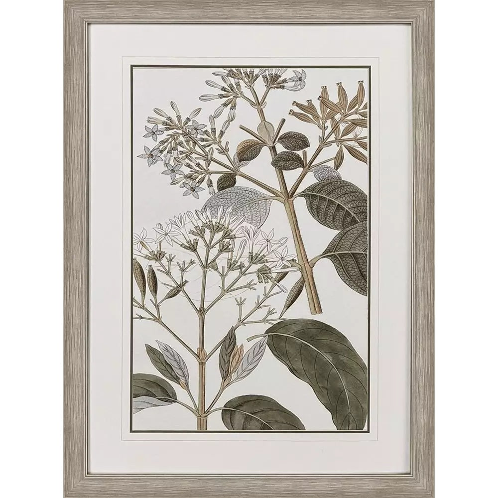 Flowering Botanical Artwork