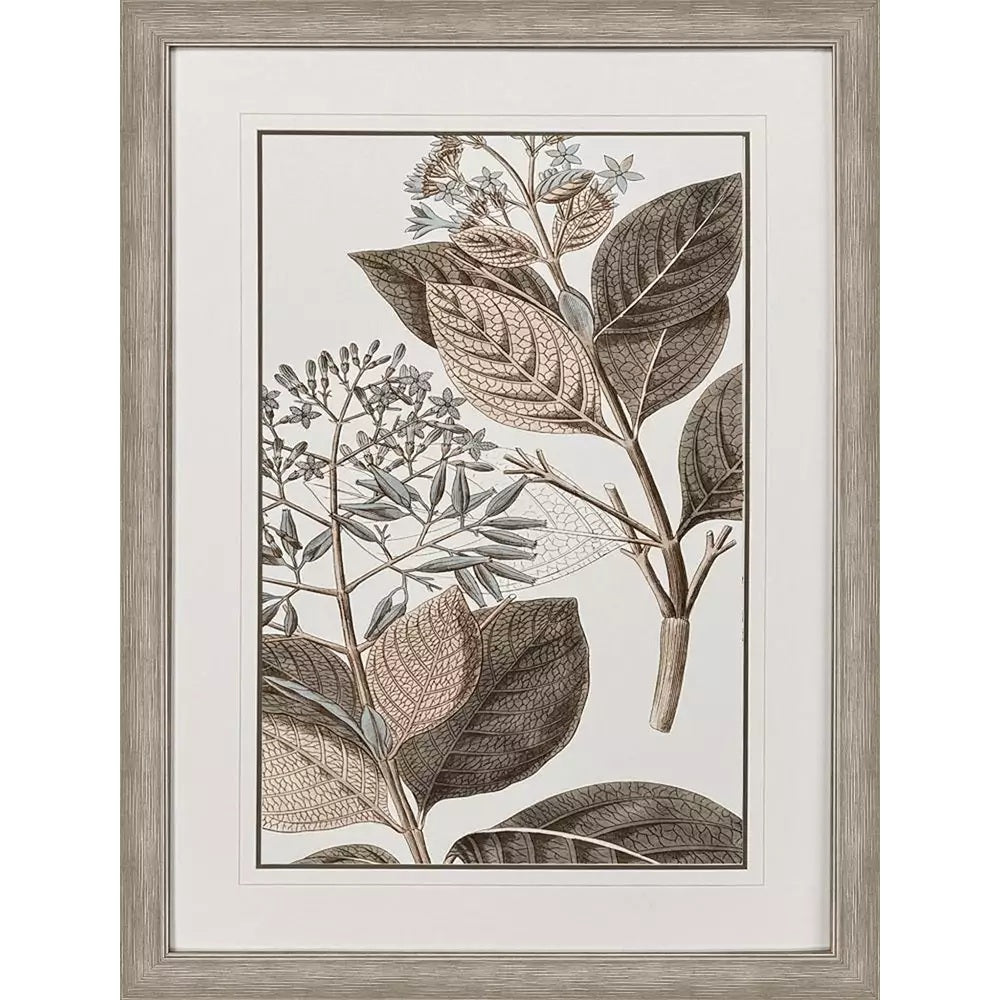 Flowering Botanical Artwork