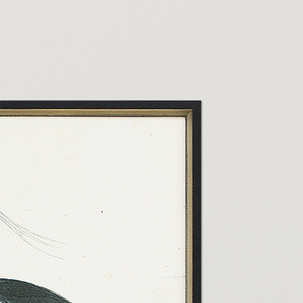 Vintage Heron Prints