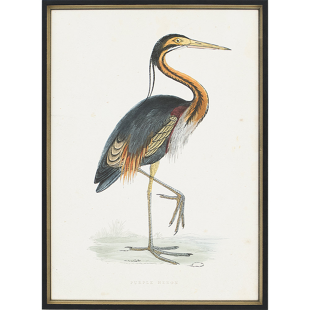 Vintage Heron Prints