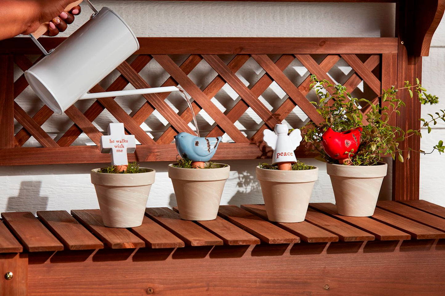 Garden Watering Stakes