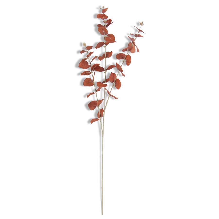 Brown Eucalyptus Spray