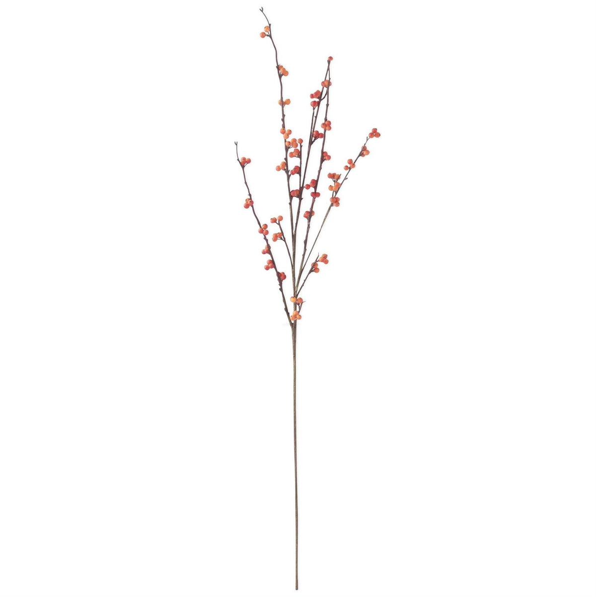 Orange Berry Stem