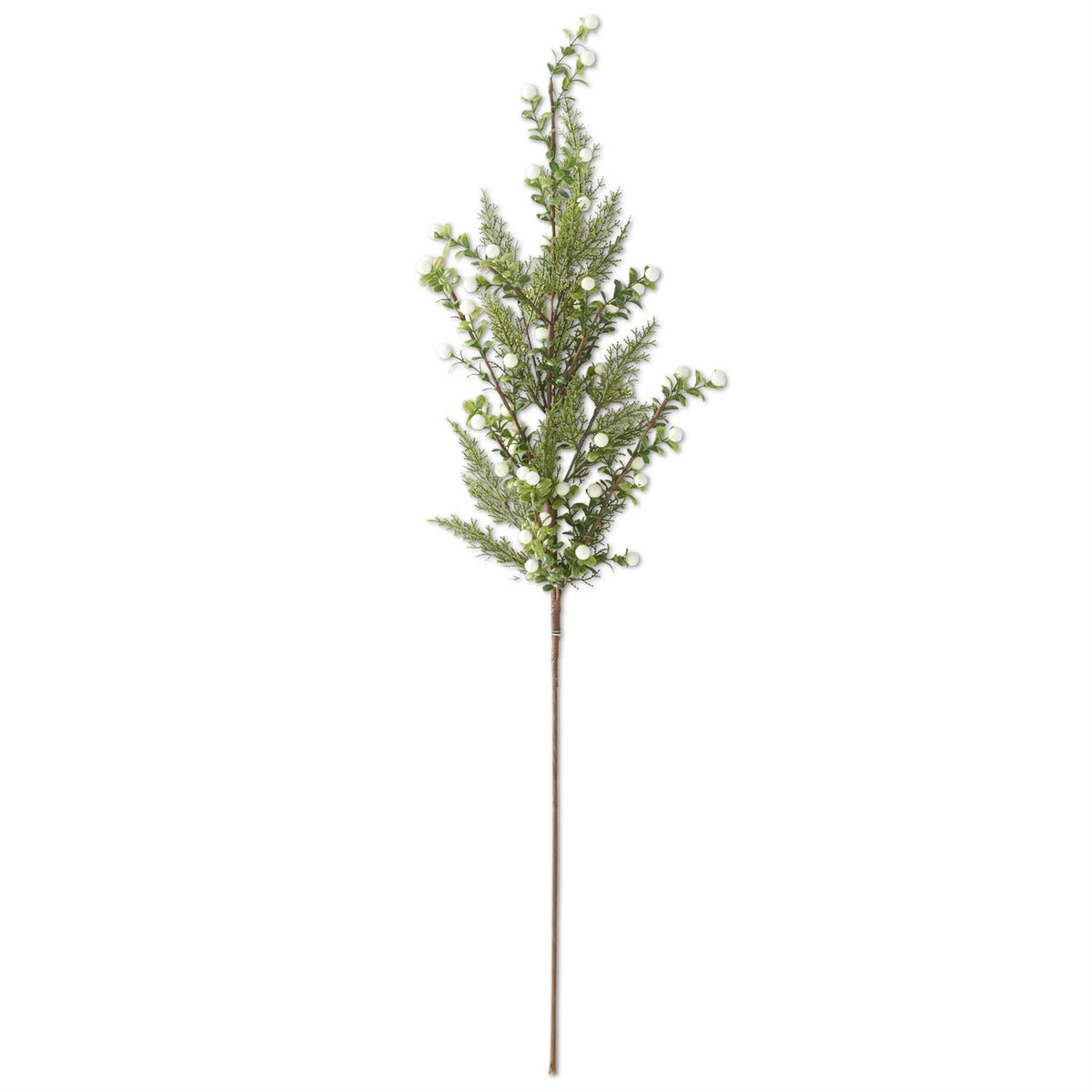 Berry Prickly Heath & Pine Stem
