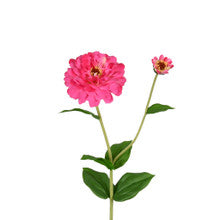 Life-like Zinnia Stem