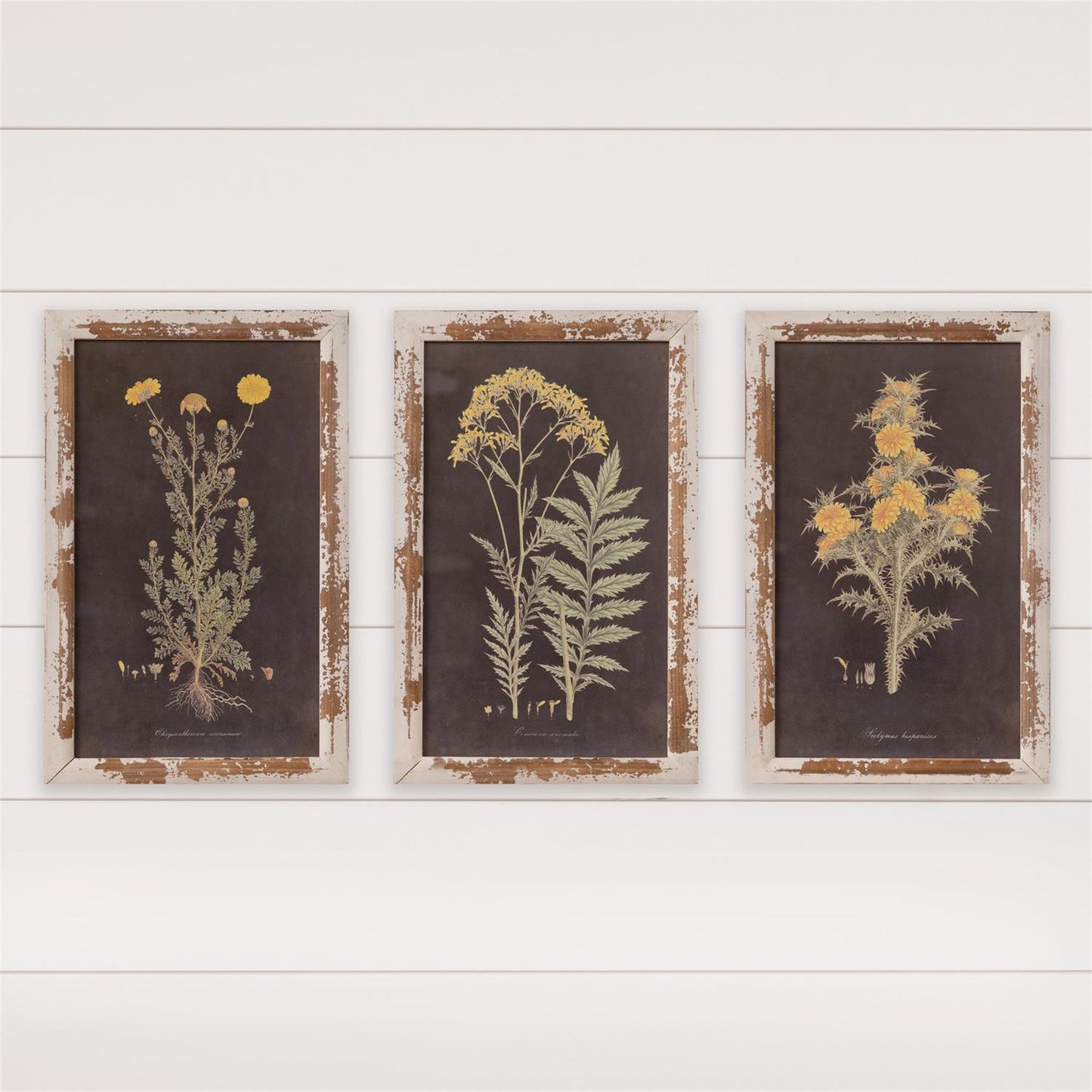 Yellow Flowers Framed Print