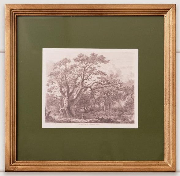 Matted Tree Sketch