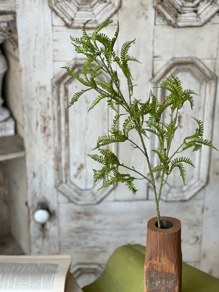 Wanderleaf Fern Spray