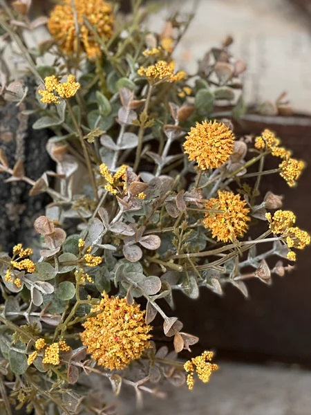 Fall Garden - Mustard Collection