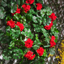Red Geranium Flower Wreath