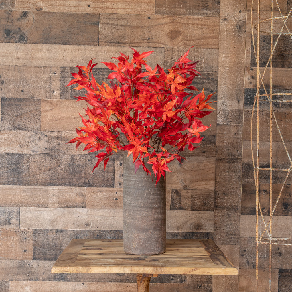 Orange Japanese Maple Leaf Stem