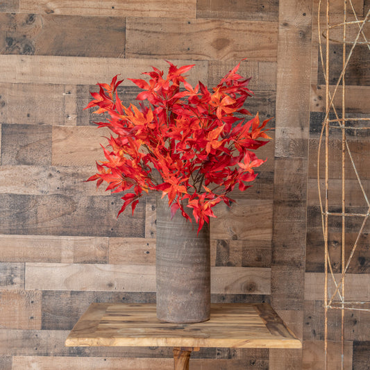 Orange Japanese Maple Leaf Stem