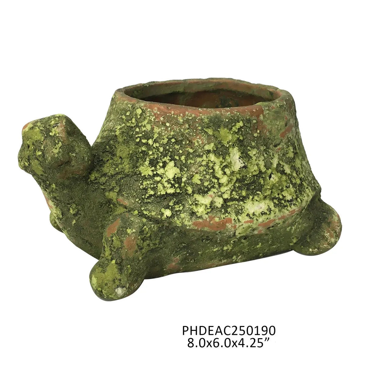 Mossy Terra Cotta Turtle Planter