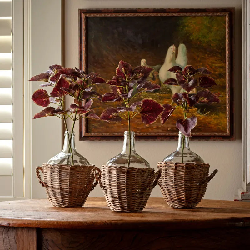 Coleus Noir Floral Stem
