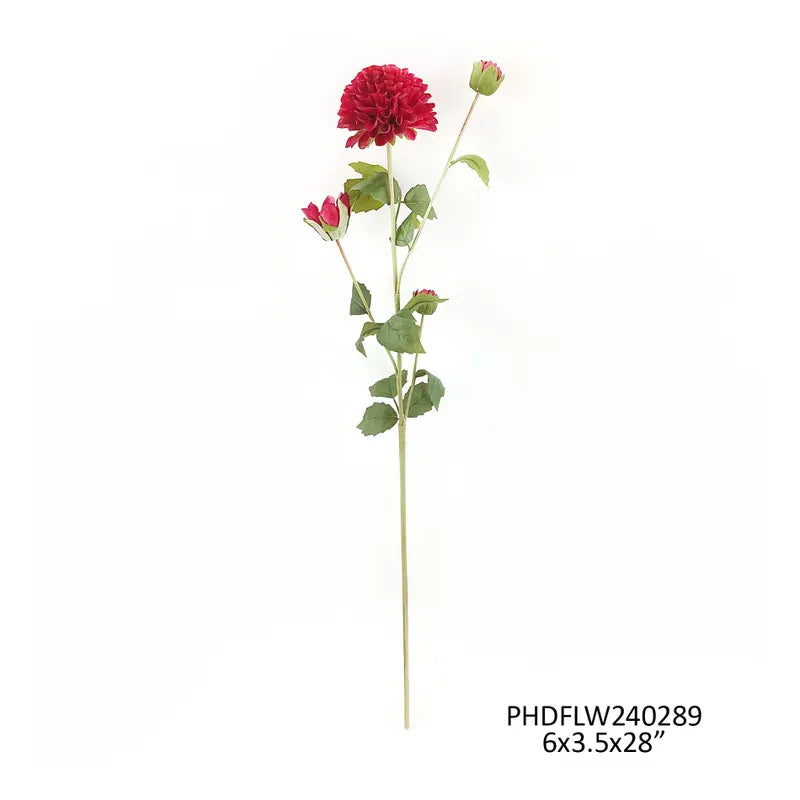 Dahlia Stem - Merlot
