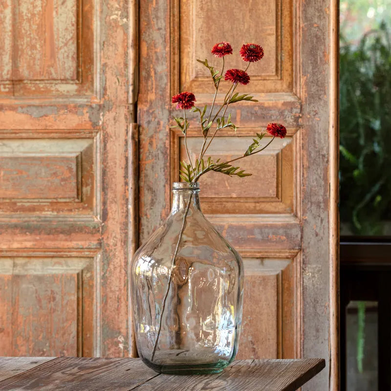 Aster Floral Stem