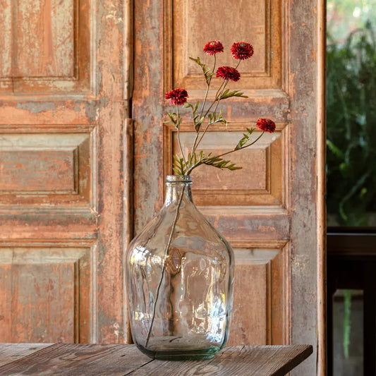 Aster Floral Stem