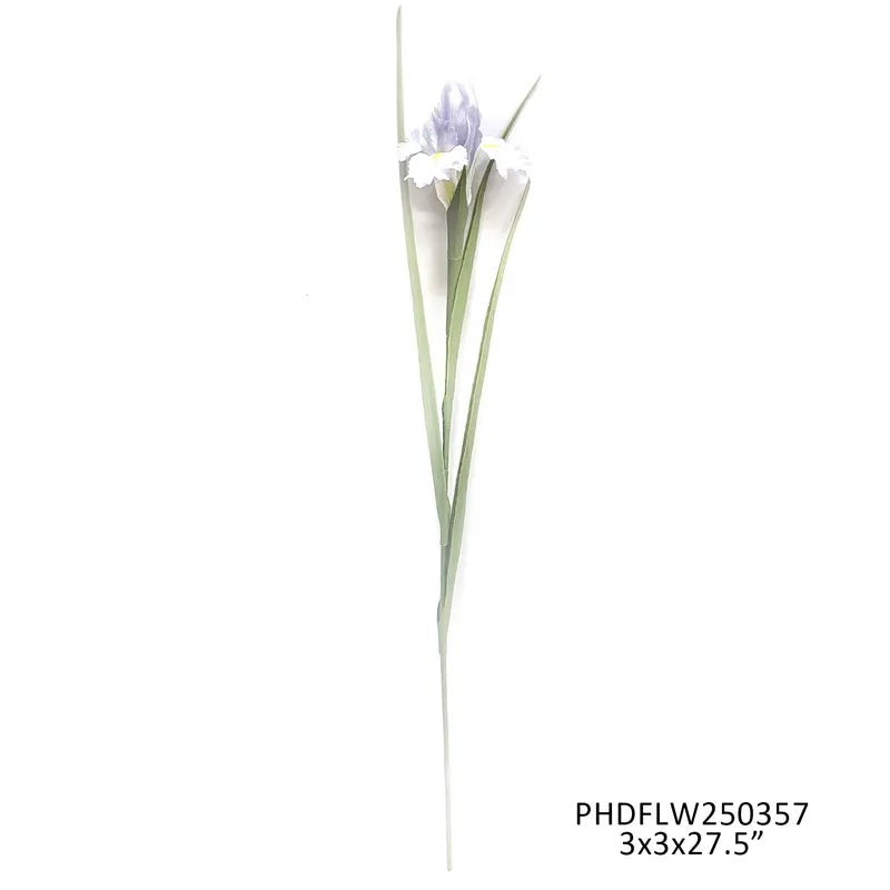 Lilac Cottage Iris
