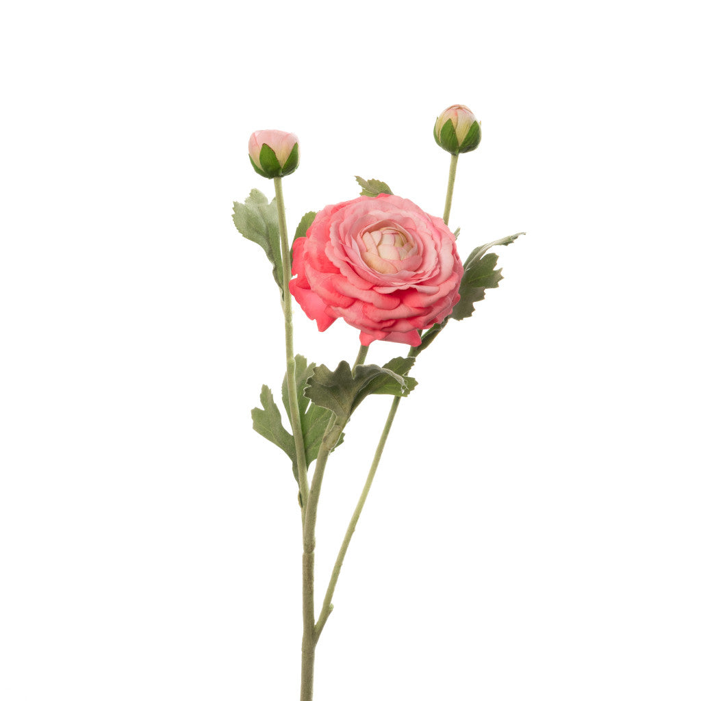 Real Touch Ranunculus