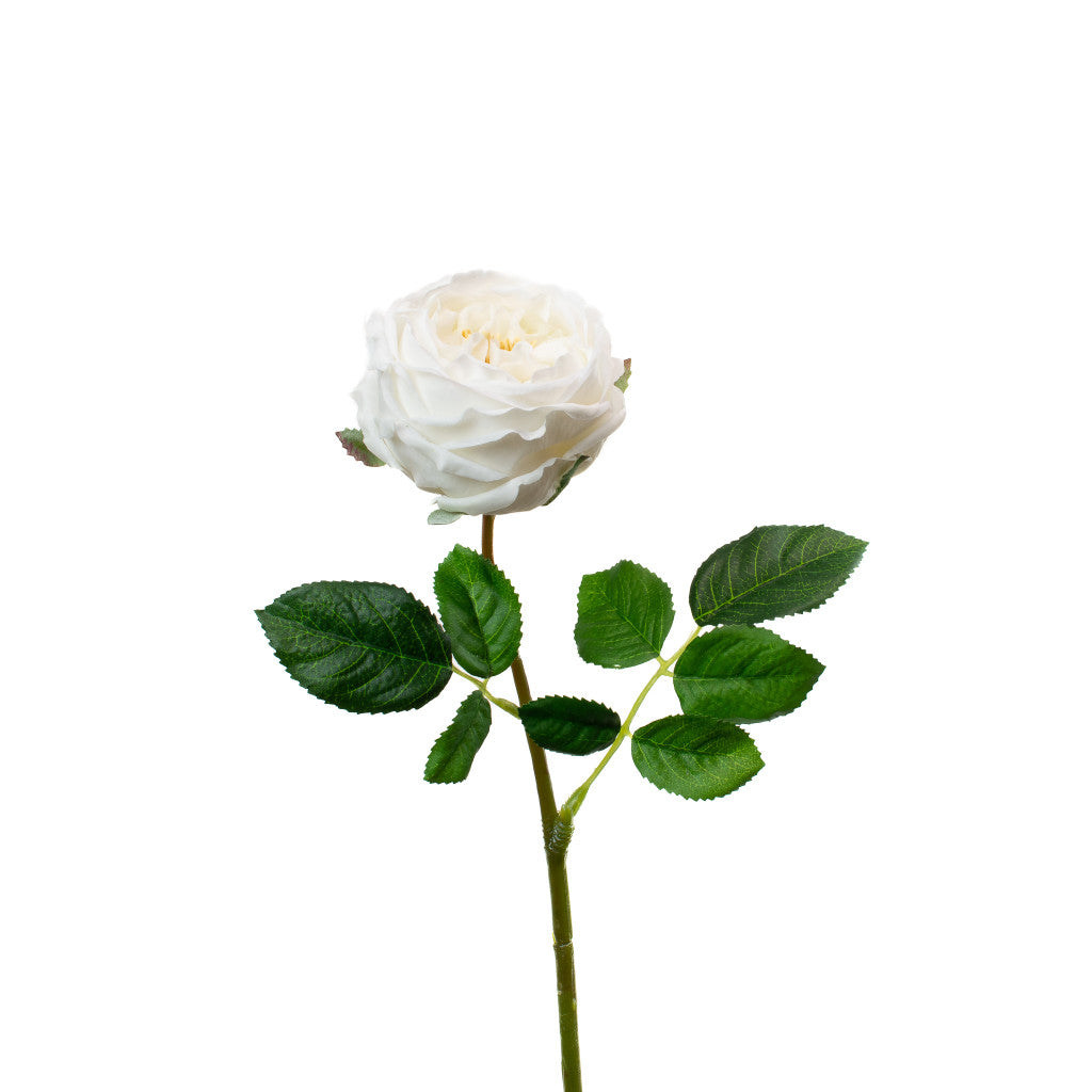Real Touch English Rose