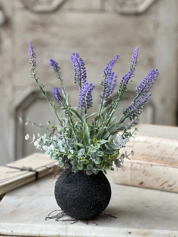 Rooted Wild Lavender