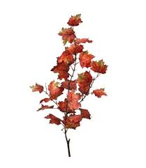 Northern Vermont Maple Spray, 47in
