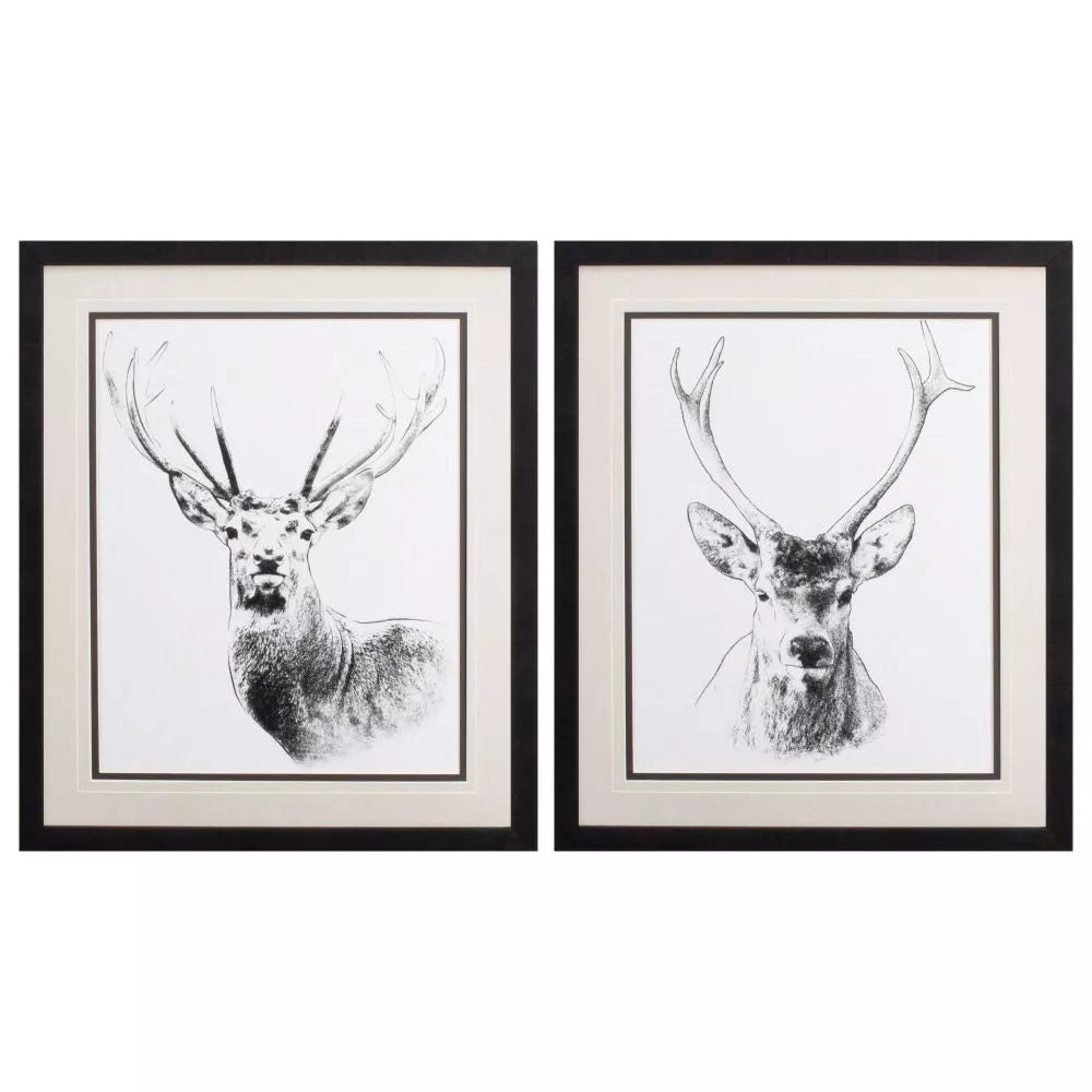 Wilderness Stare Art Work