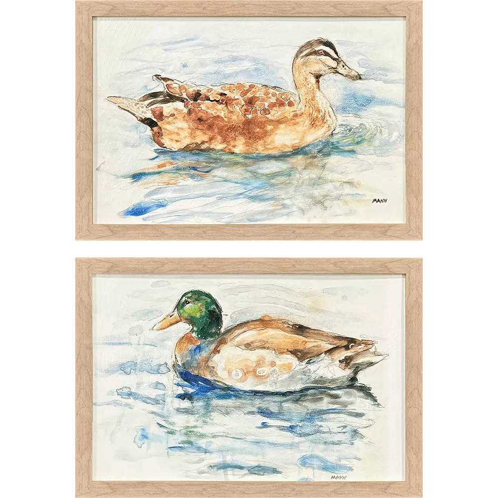 Water Ducks Set of 2