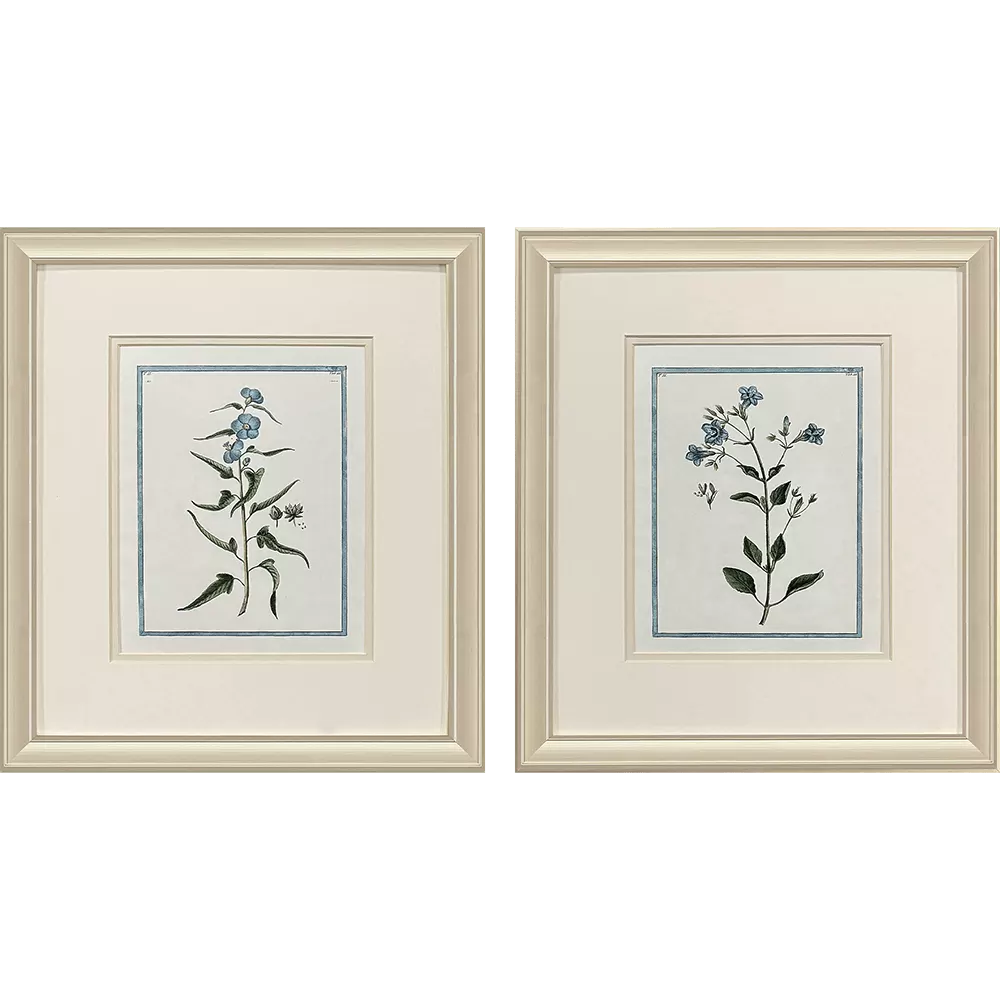 Shabby Chic Botanical Set Of 2