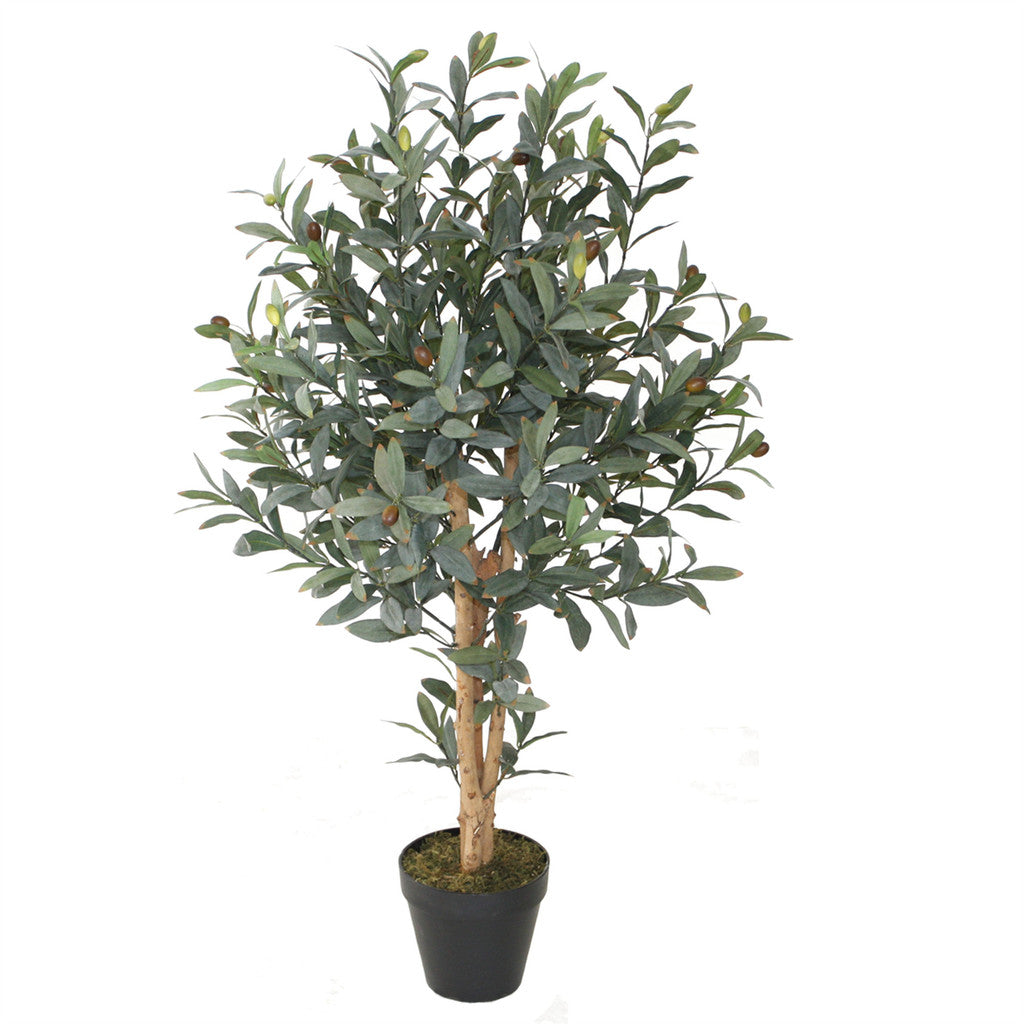 Olive Tree Topiary