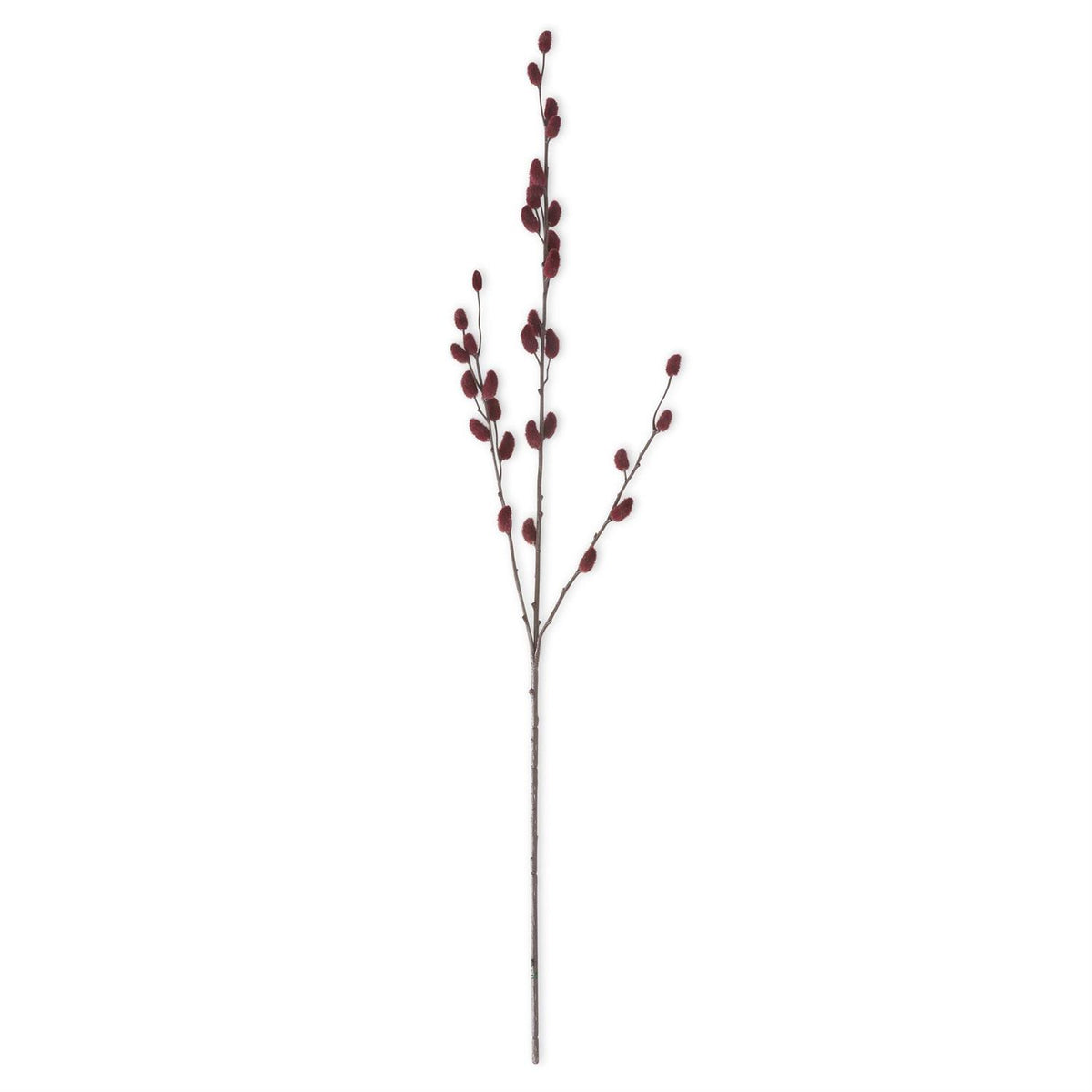 Burgundy Pussy Willow Stem