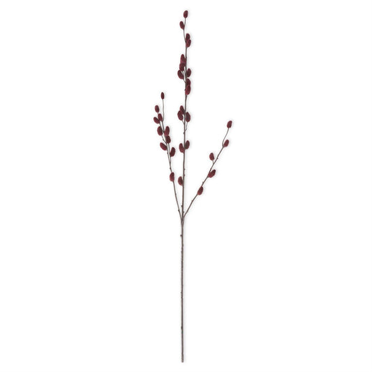 Burgundy Pussy Willow Stem