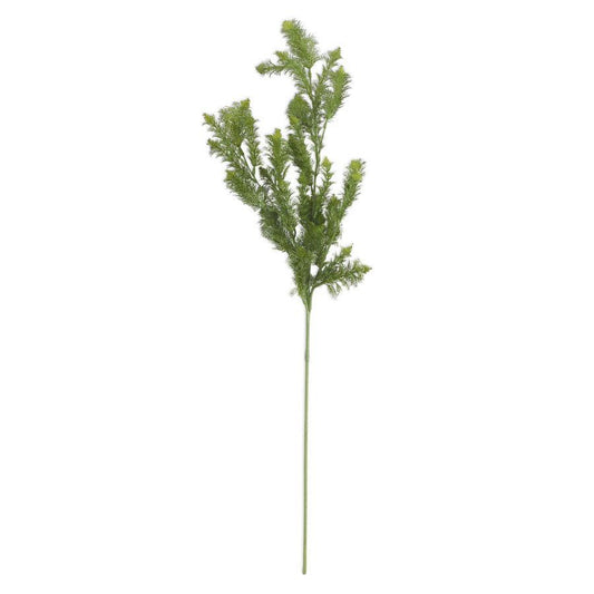 Realistic Dill Spray