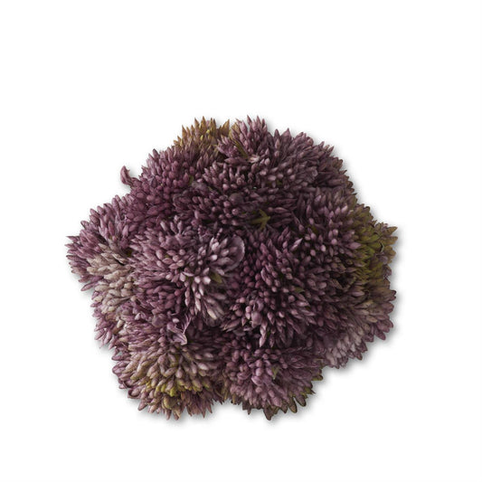 Sedum Ball
