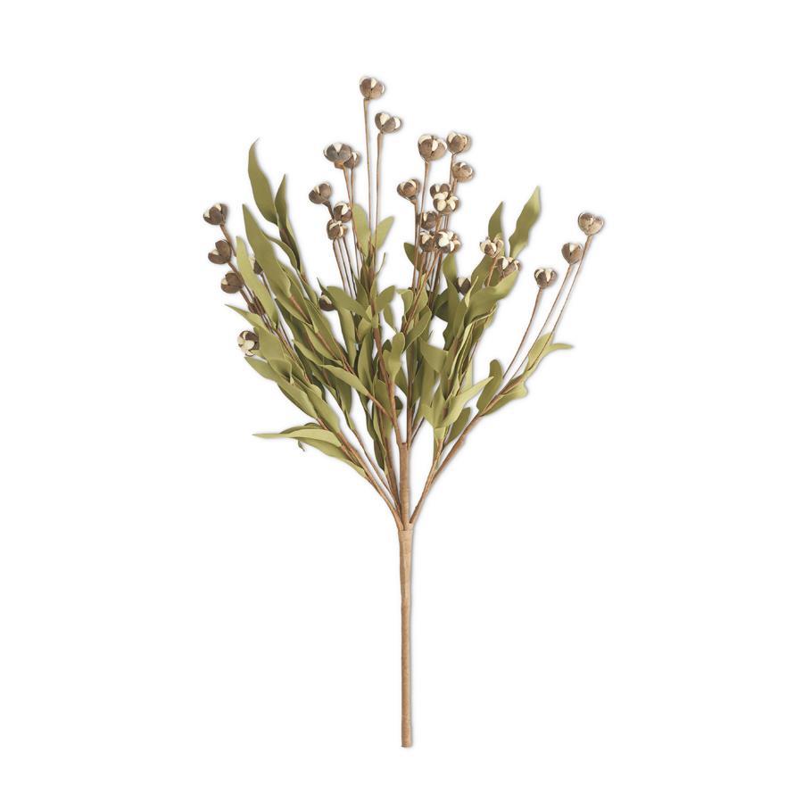 Cream Bud Bush with Eva Foliage