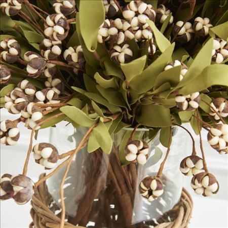 Cream Bud Bush with Eva Foliage