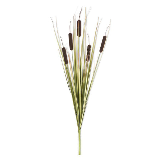Dark Brown Cattail Stem