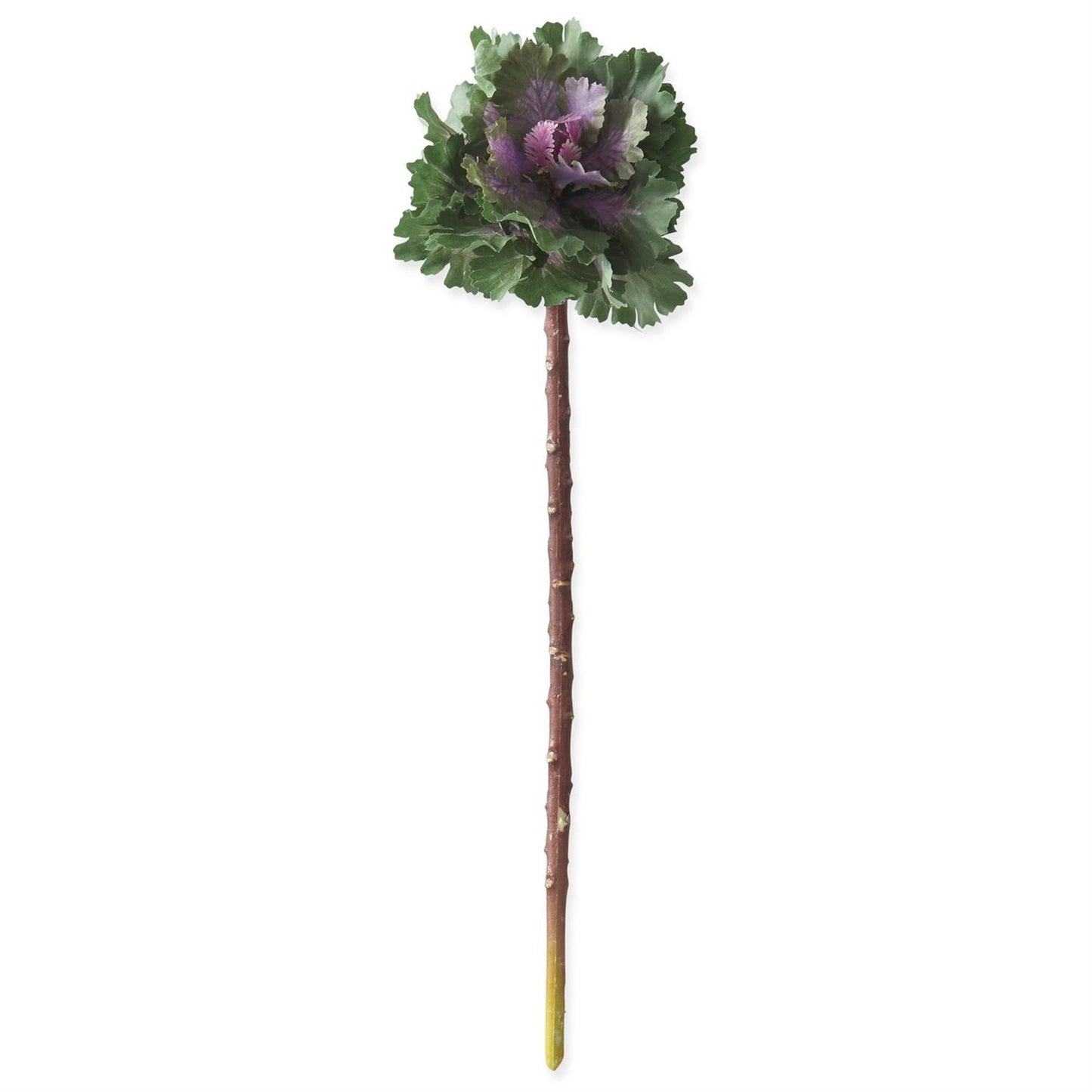 Ornamental Cabbage Pick