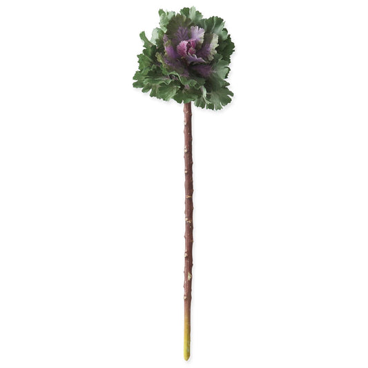 Ornamental Cabbage Pick