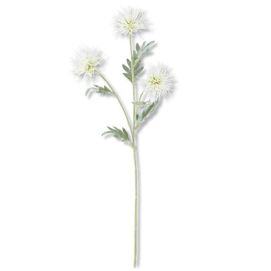 White Spikey Cactus Dahlia Stem