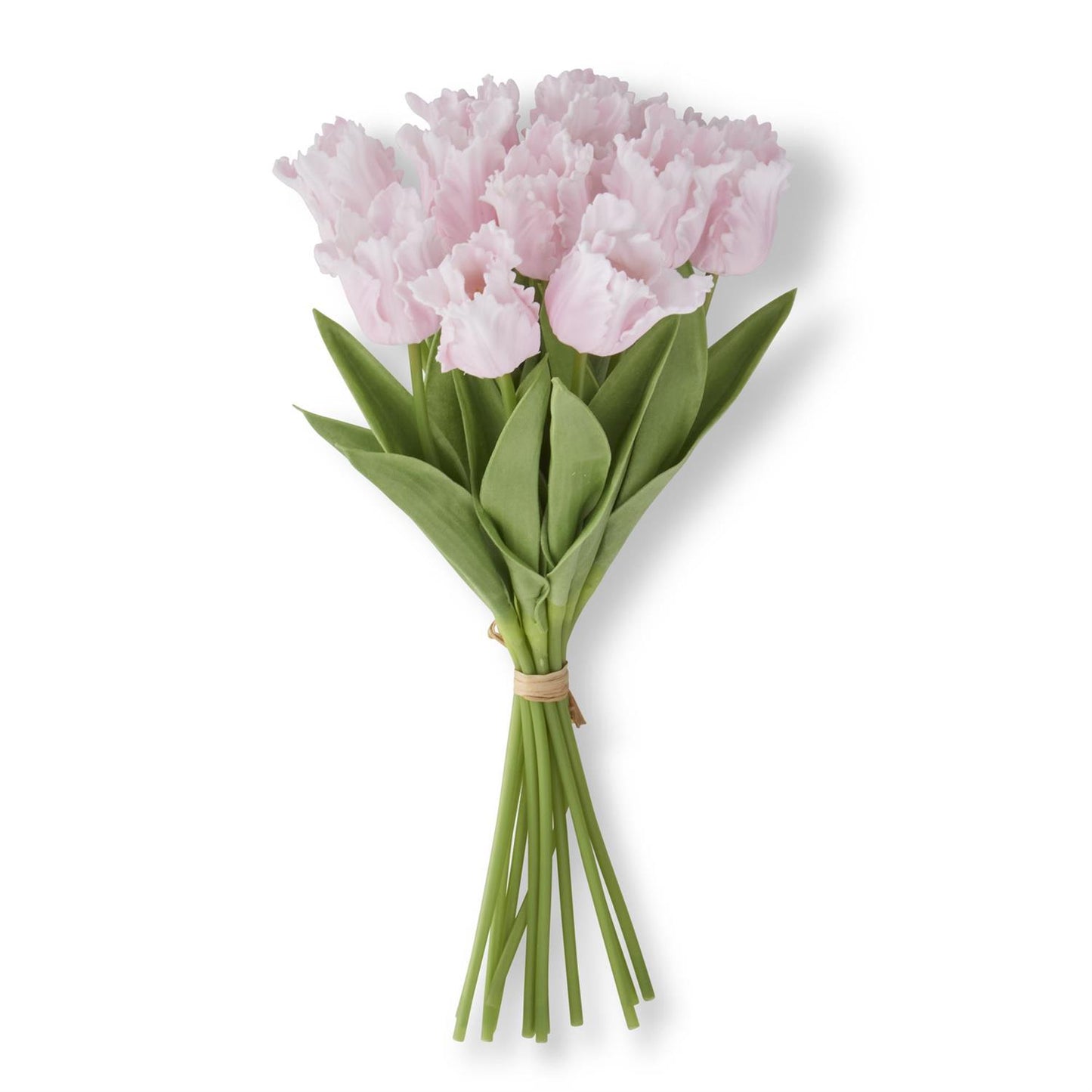 Real Touch Parrot Tulip Bundle