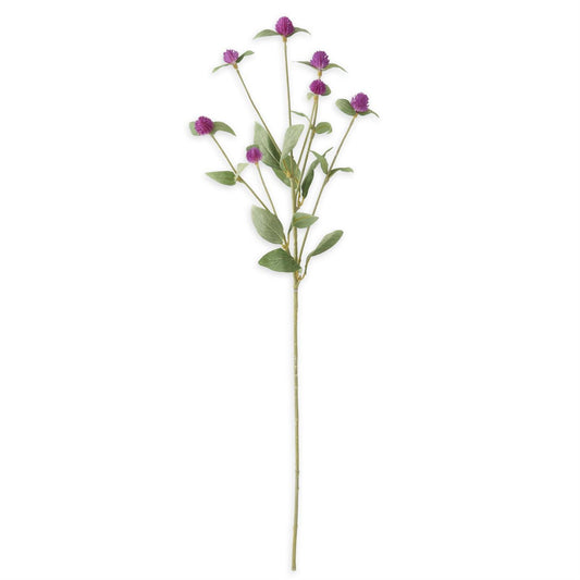 Purple Globe Amaranth Spray