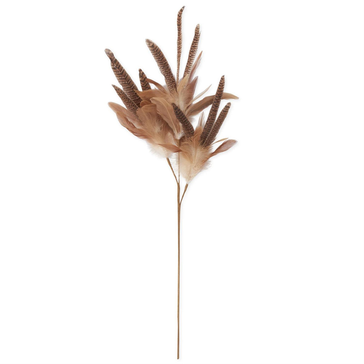 Tan Feather Spray