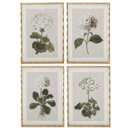Gold Ornate Wood Framed White Geranium Print